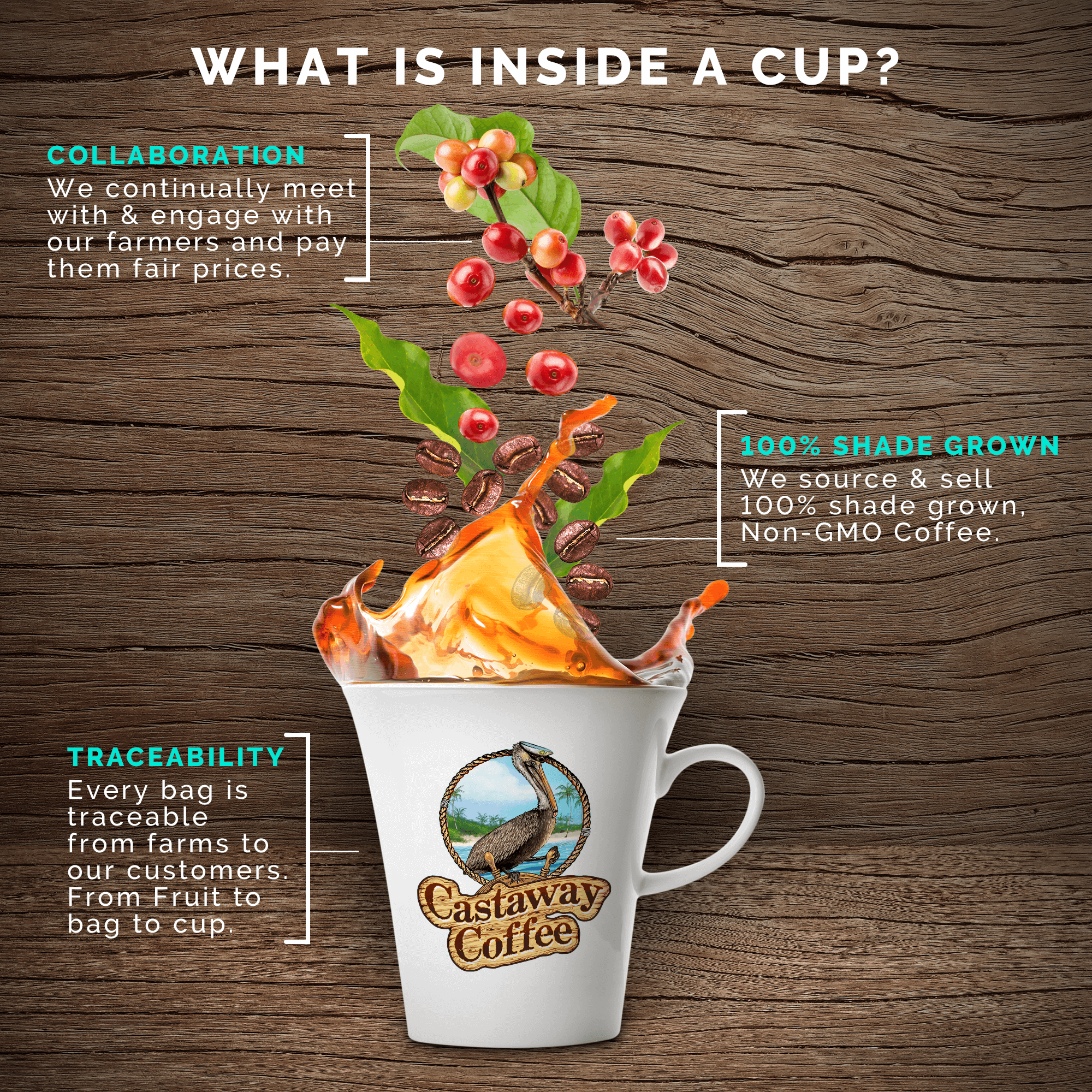 Castaway Coffee Breakfast Blend